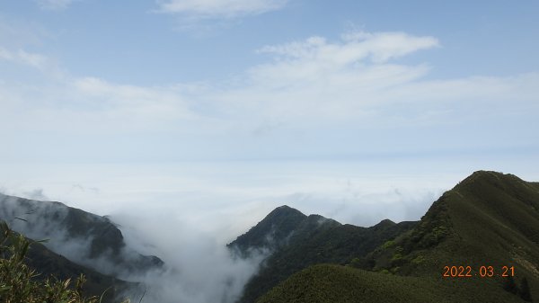 陽明山趴趴走，整天差強人意雲海1650823