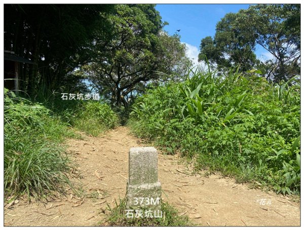 中坑山．石灰坑山．望湖山 連走2812967