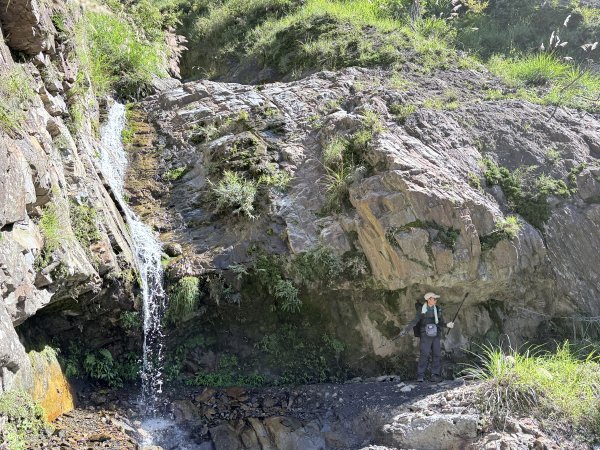 來去郡大坐龍貓公車順登對關山2822339