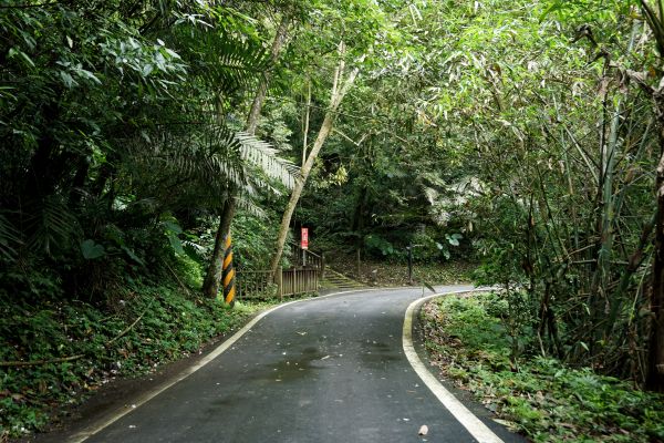 六寮古道&獅山古道O形環走319261