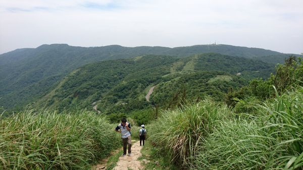 頂山石梯嶺343429