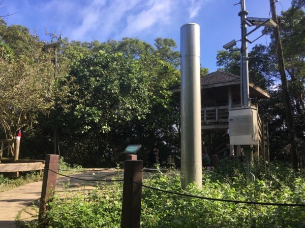 20181026-大凍山初登444958