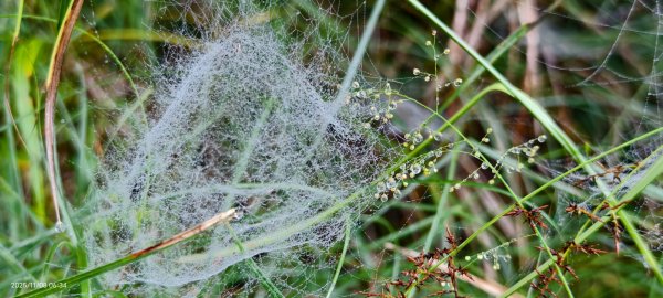 #太平山 #望洋山 #觀雲步道 #日出 #雲海 11/82931176