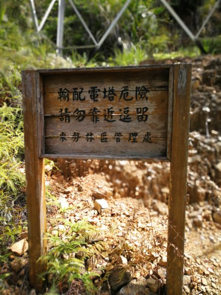 東卯山107.04.21691263