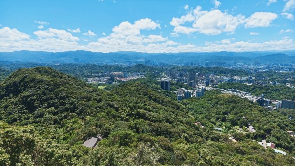 台北健行｜金面山縱走鯉魚山：大岩壁攀爬與山林驚喜3118509