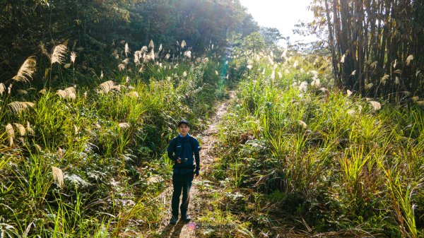 蜈蚣崙上舊武界越山2418460