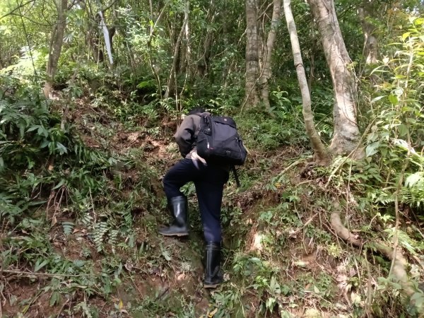 頭城鎮外大溪山+七兄弟山+窖寮山O型3015997
