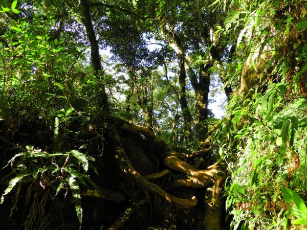 臺東 東河 都蘭山1262044