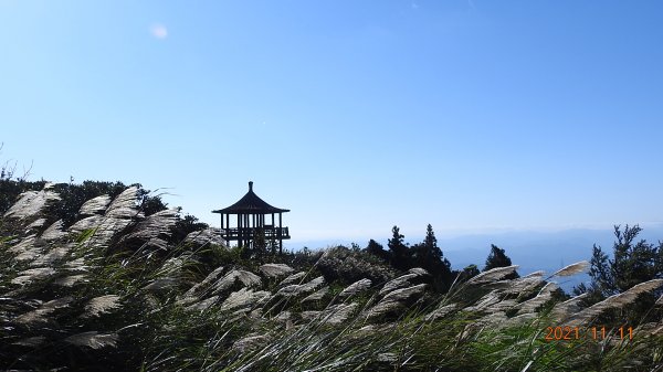 秋高氣爽芒花季再度陽明山天際線-七星山主東峰+大屯山主南西峰向天面天山O型+小觀音山主西南峰共10峰1511063