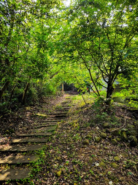 2025-04-27 三員縱走2772044