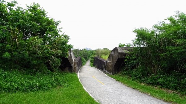 山佳荷花池2172766