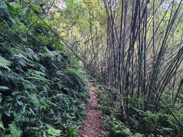 小百岳No.17⛰二格山2895559