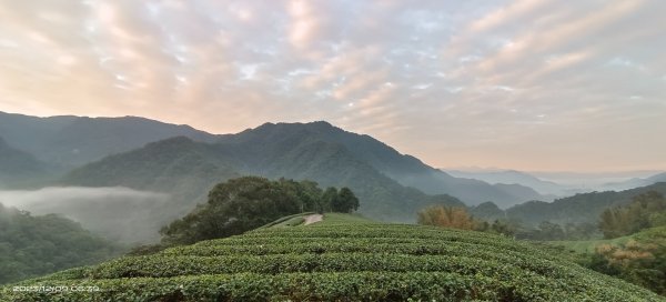 跟著雲海達人山友追雲趣-坪林南山寺&開眼崙2370539