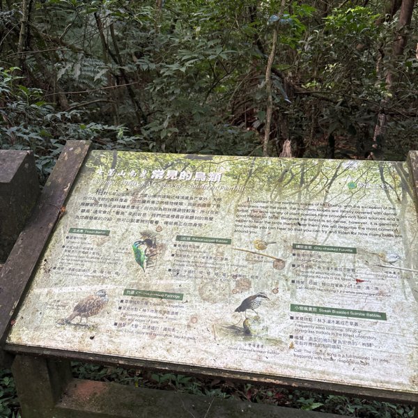 七星山苗圃路線2922630