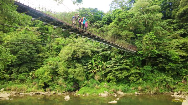 【淡蘭中路】深山中的綠翡翠970699