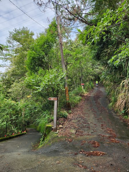 20230819 谷關七雄初登板-二哥馬崙山，白冷冰棒2255596