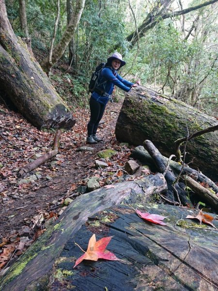 霞喀羅大山（石鹿大山）、白石駐在所1576971