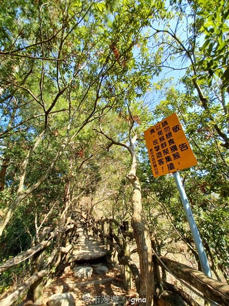 【台中北屯】全台少見圓枕木步道考驗平衡感專注力。 大坑四號步道xNo41小百岳頭嵙山2523340