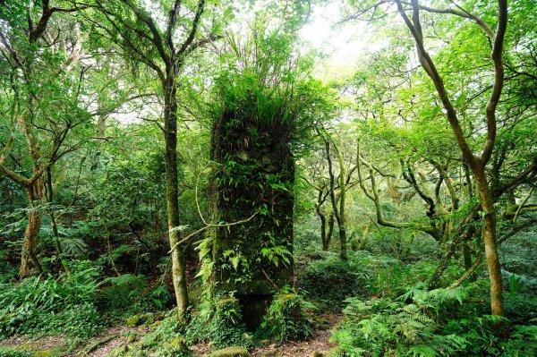 新北 三芝 小觀音山群峰3085451