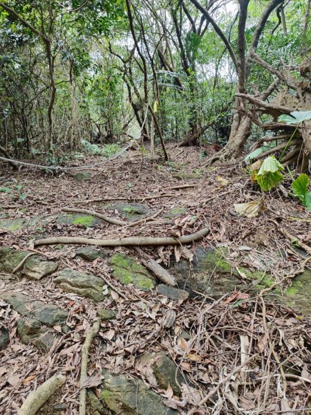 淡蘭南路2+1逆走2671852