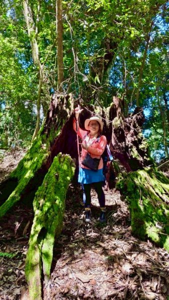 瞭望台-瓊山-望美山-獵人古道2886910