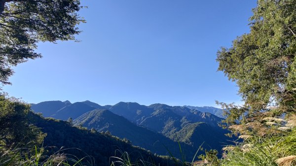 大霸群峰登山步道(大鹿林道線)2911388