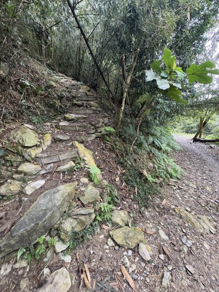 20251227尾寮山登山步道2970509