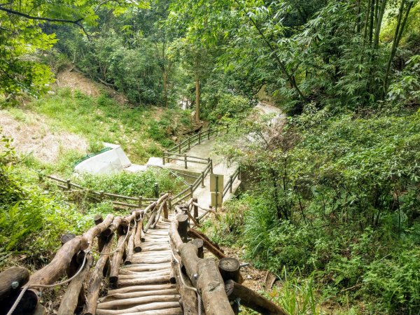 頭嵙山(小百岳#41)大坑4,5,1步道1003734