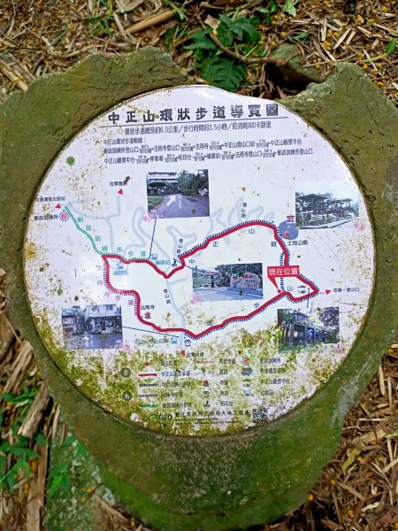 中正山步道→青楓步道→竹子湖1682577