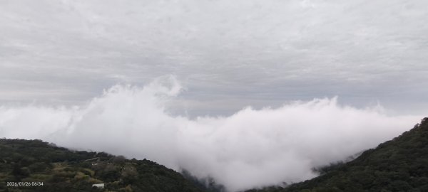 陽明山趴趴走追雲趣 #雲海 #琉璃光 1/26 認得幾個拍照地點共15個2988309