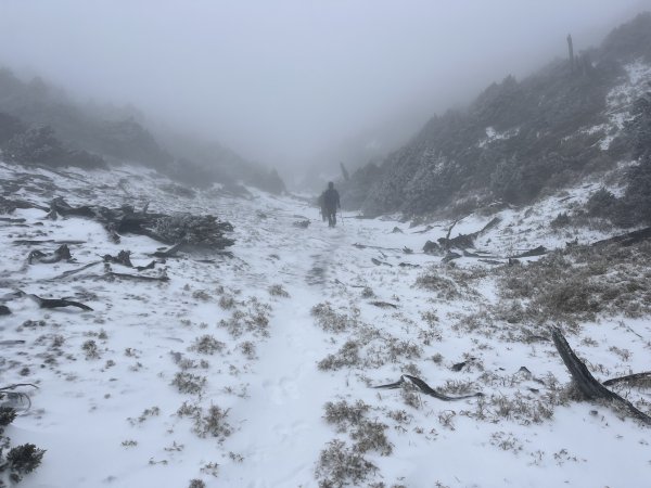 八大秀雪攀初體驗，銀白色中央山脈2413102
