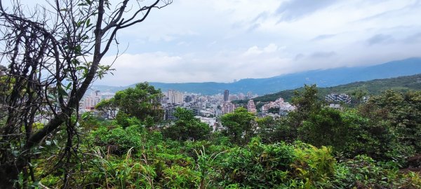 軍艦岩丹鳳山2602394