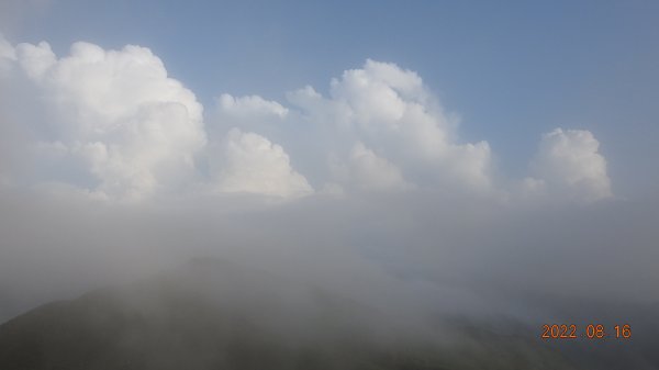 久違的觀音圈，差強人意的雲瀑1806297