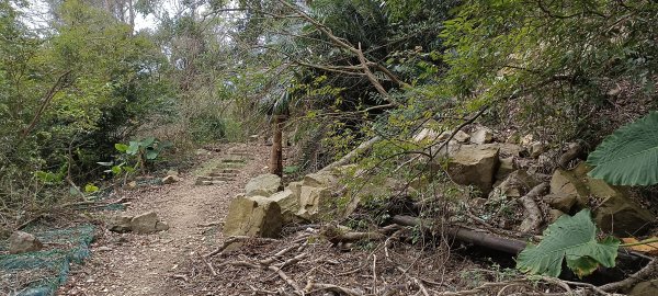 20230404_出磺坑山+古油井步道O型2094228