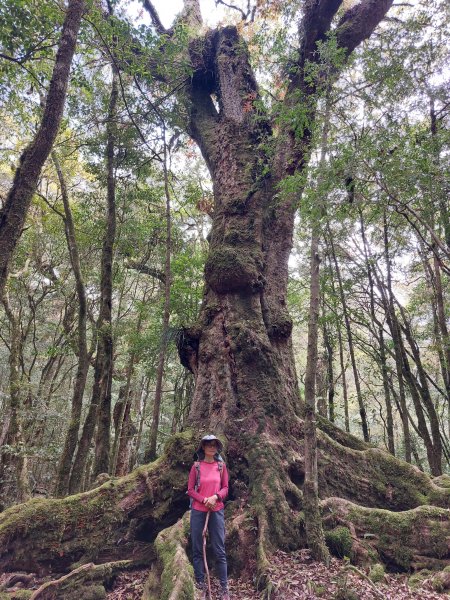 稍來小雪山國家步道上船型山鞍馬山202204161829569