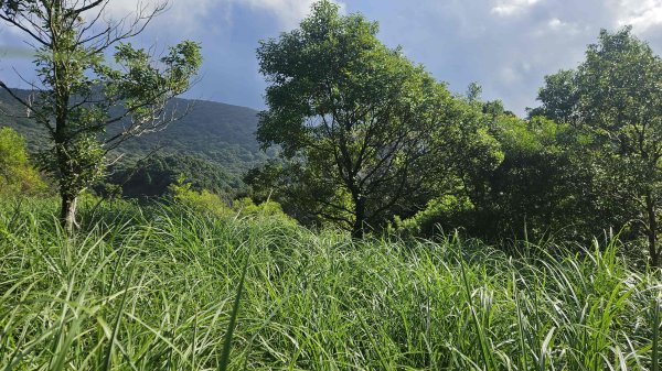 20251015木尾山-竹子湖水尾山-竹子湖西峰(騎車爬山)2915986