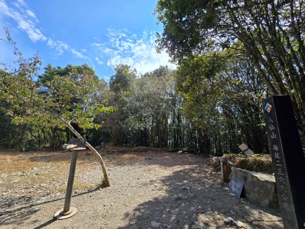 蝶夢八唐（裡冷登山口往返）八仙山出雲海下山順賞富士櫻2722708