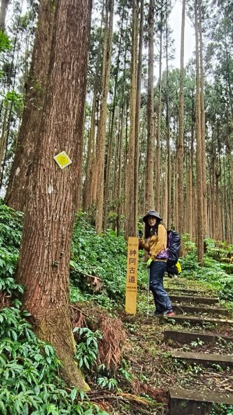 神阿縱走~台灣難抵極~大塔山2971401