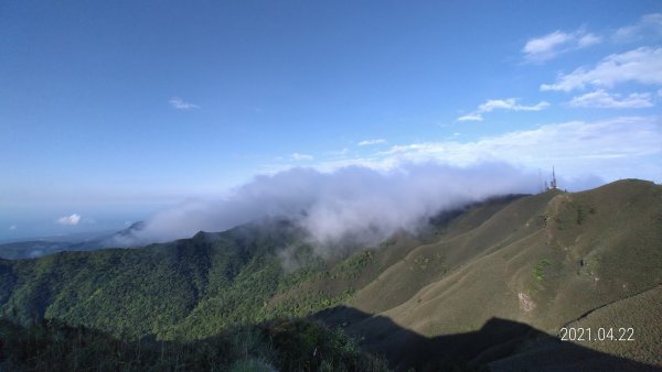 陽明山再見雲瀑觀音圈+月亮同框&夕陽4/22&241359294