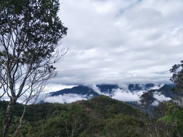 谷關七雄:阿白縱走-白毛山+太郎山+次郎山1513747