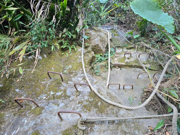 九龍山連走大凍山2955709