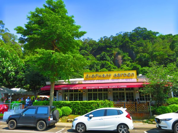 搭著捷運去旅行-白石湖賞花輕旅行610492