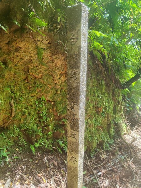 微笑山線五分山系菁桐-平溪-望古2881229