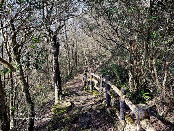【新北】二格山步道：半小時登頂坐擁大台北2805183