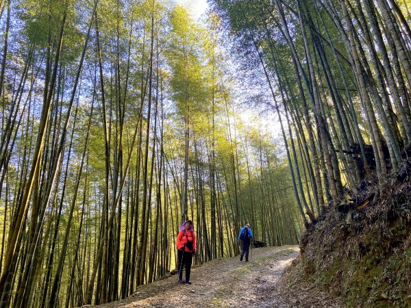 過坑山南峰連走過坑山(再登)1236683