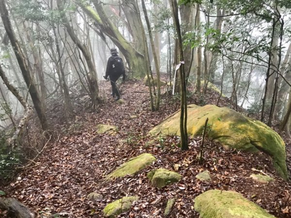 水田林道走蓮包山上外鳥嘴封面