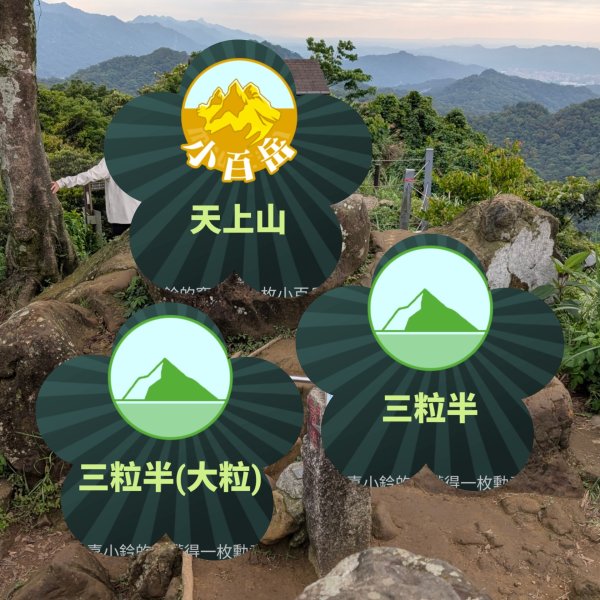 115.05.01天上山-桐花公園之旅3052117