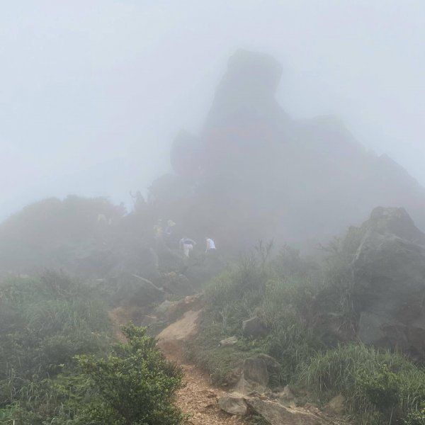 20210501-無耳茶壺山+半屏山+黃金地質公園1438583