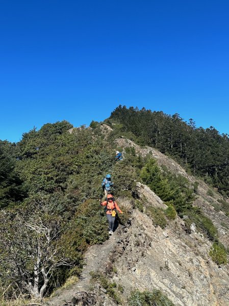 干卓萬橫斷 2024 11/29 四天三夜2865554