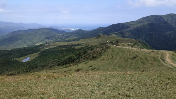 桃源谷+草嶺古道730514